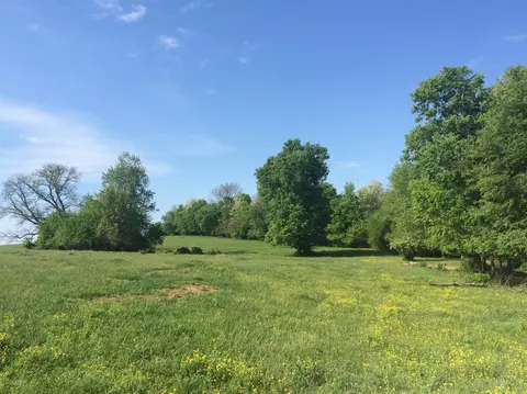 520 Hifner Rd, Versailles, KY 40383 photo 40