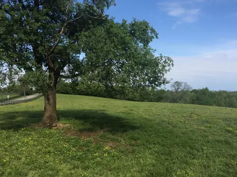 520 Hifner Rd, Versailles, KY 40383 photo 31