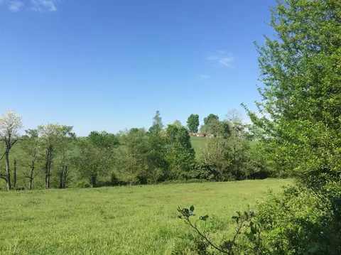 520 Hifner Rd, Versailles, KY 40383 photo 17