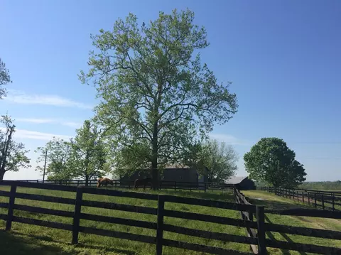 520 Hifner Rd, Versailles, KY 40383 photo 5