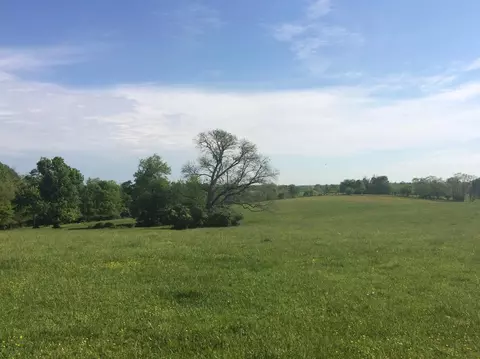 520 Hifner Rd, Versailles, KY 40383 photo 43