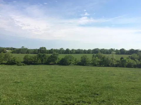 520 Hifner Rd, Versailles, KY 40383 photo 3