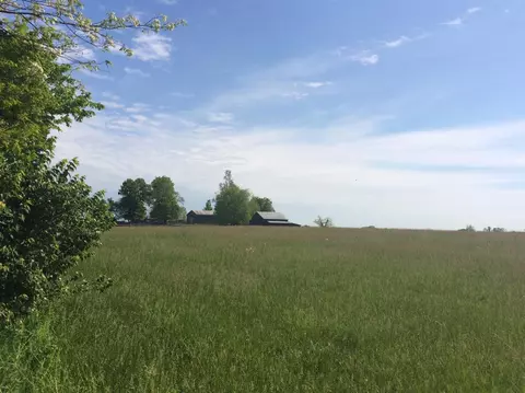 520 Hifner Rd, Versailles, KY 40383 photo 12