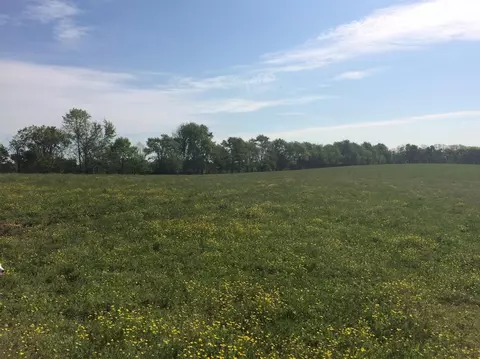 520 Hifner Rd, Versailles, KY 40383 photo 46