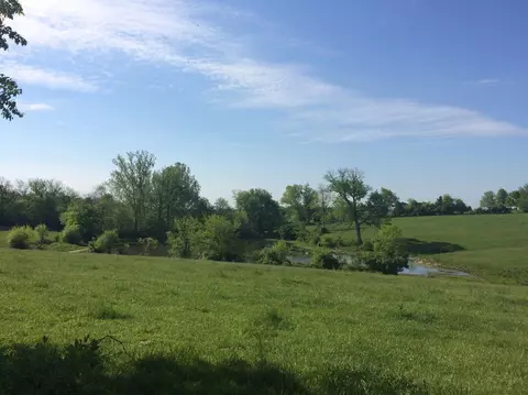 520 Hifner Rd, Versailles, KY 40383 photo 20