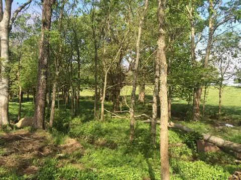 520 Hifner Rd, Versailles, KY 40383 photo 36