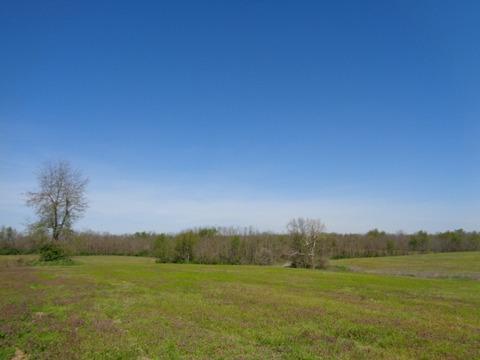 1139 Austerlitz Rd, Paris, KY 40361 photo 6