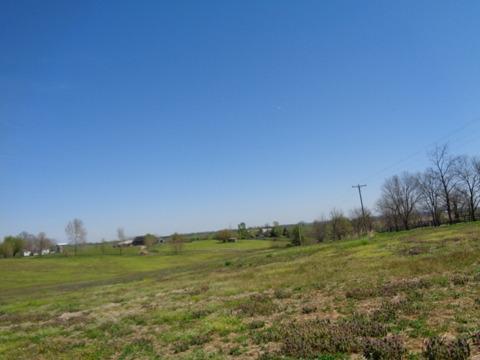 1139 Austerlitz Rd, Paris, KY 40361 photo 10