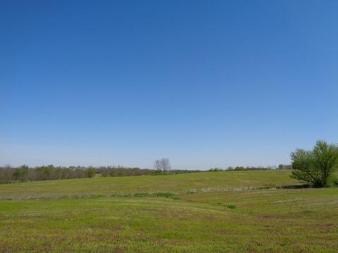 1139 Austerlitz Rd, Paris, KY 40361 photo 5