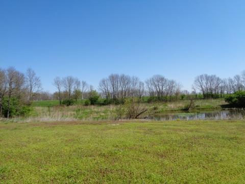 1139 Austerlitz Rd, Paris, KY 40361 photo 42