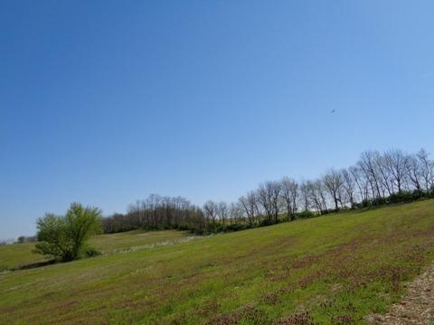 1139 Austerlitz Rd, Paris, KY 40361 photo 7