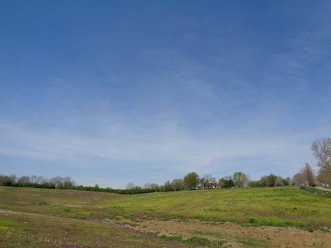 1139 Austerlitz Rd, Paris, KY 40361 photo 14
