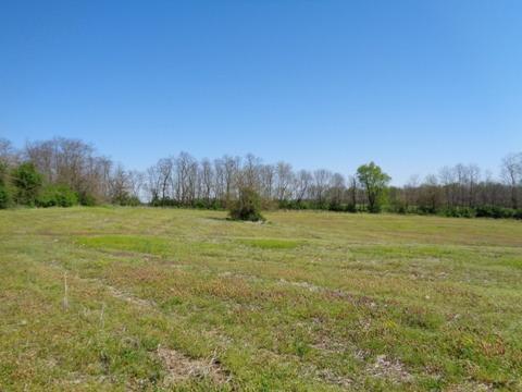 1139 Austerlitz Rd, Paris, KY 40361 photo 4