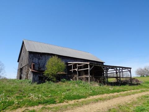 1139 Austerlitz Rd, Paris, KY 40361 photo 35
