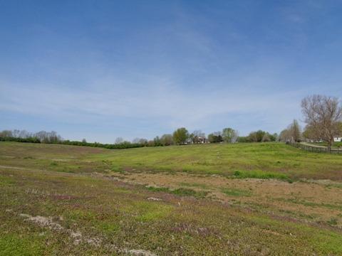 1139 Austerlitz Rd, Paris, KY 40361 photo 13