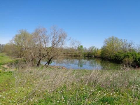 1139 Austerlitz Rd, Paris, KY 40361 photo 39