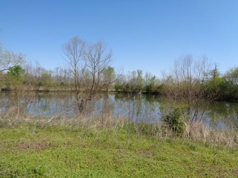 1139 Austerlitz Rd, Paris, KY 40361 photo 40