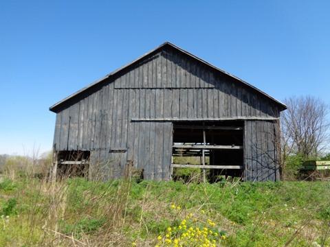 1139 Austerlitz Rd, Paris, KY 40361 photo 34