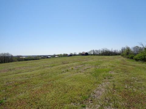 1139 Austerlitz Rd, Paris, KY 40361 photo 2