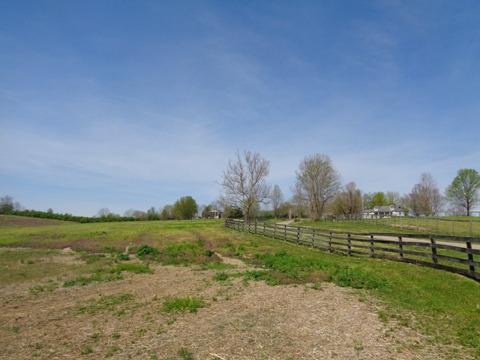 1139 Austerlitz Rd, Paris, KY 40361 photo 15