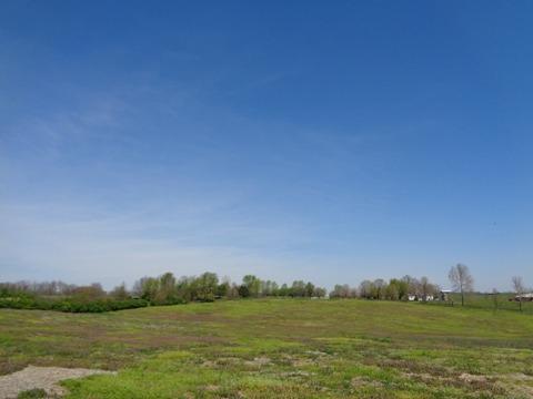 1139 Austerlitz Rd, Paris, KY 40361 photo 8