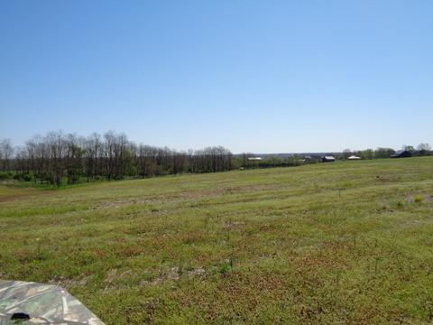 1139 Austerlitz Rd, Paris, KY 40361 photo 3