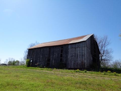1139 Austerlitz Rd, Paris, KY 40361 photo 38