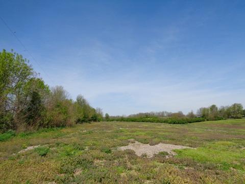 1139 Austerlitz Rd, Paris, KY 40361 photo 9