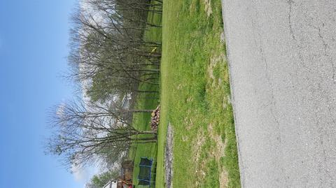 206 Lakeside Dr, Georgetown, KY 40324 photo 2