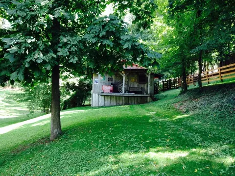 446 Levy Rd, Paris, KY 40361 photo 14