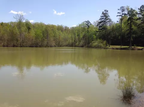 359 Tye Town School Rd, Corbin, KY 40701 photo 14