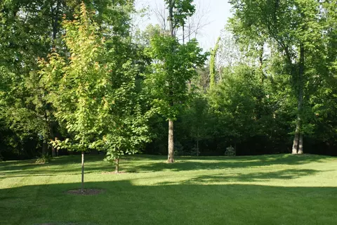 111 Shuttle Dr, Georgetown, KY 40324 photo 17