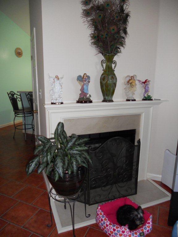 126 Willow Ln, Georgetown, KY 40324 photo 8