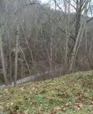 81 Melvin Beverly Ln, Arjay, KY 40902 photo 15