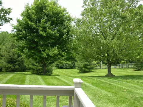 103 Labell Dr, Richmond, KY 40475 photo 40