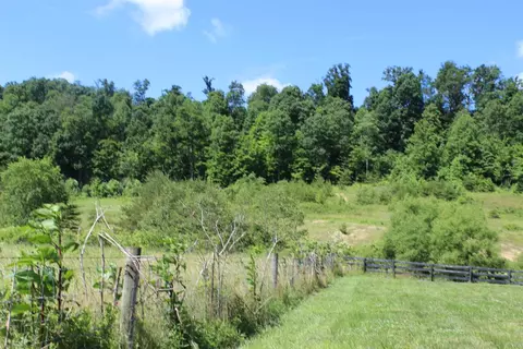 3075 Lambert Rd, Mount Vernon, KY 40456 photo 17