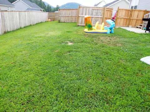 444 Bluestone Rd, Morehead, KY 40351 photo 4