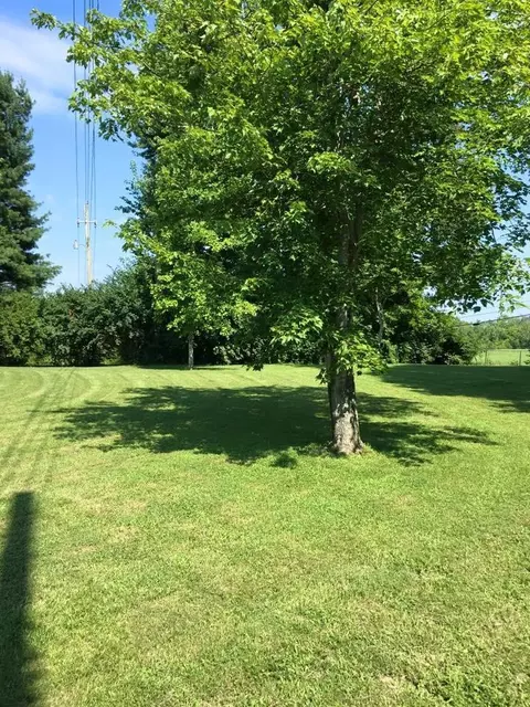 518 Dreyfus, Berea, KY 40403 photo 8