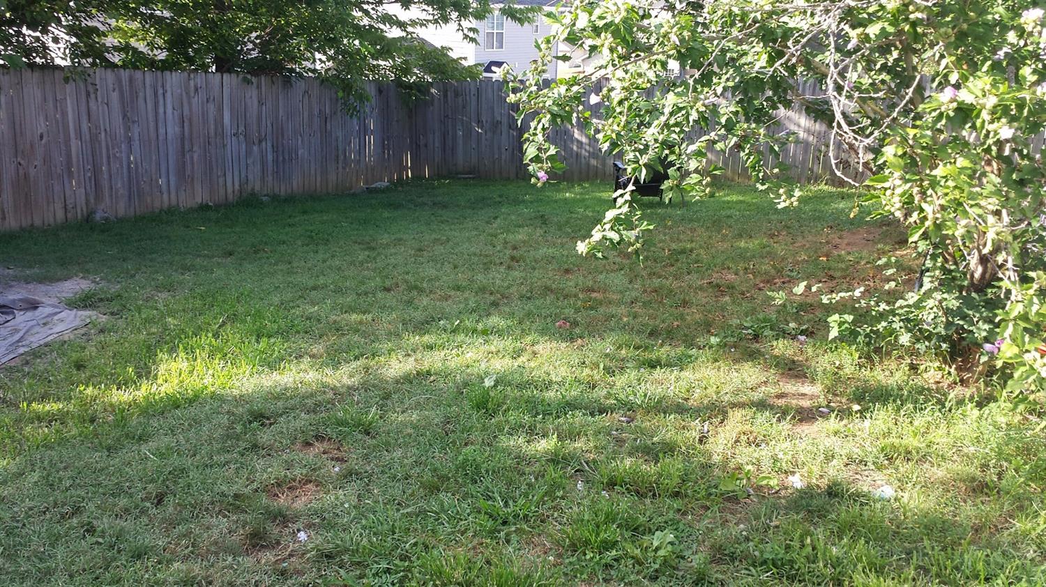 129 Richfields Ave, Georgetown, KY 40324 photo 5