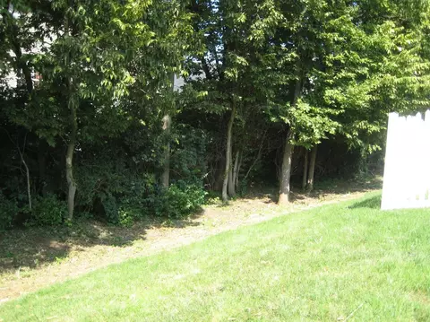 124 Spring Bluff Dr, Georgetown, KY 40324 photo 6