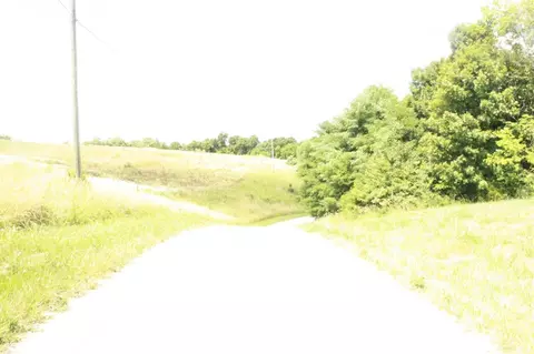 375 Martin Conway Rd, Ewing, KY 41039 photo 14