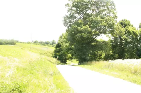 375 Martin Conway Rd, Ewing, KY 41039 photo 13