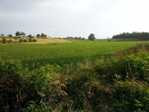 357 Silas Rd, Paris, KY 41031 photo 9