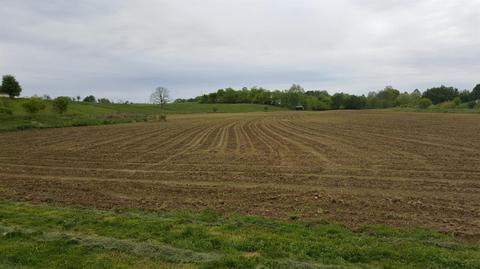 357 Silas Rd, Paris, KY 41031 photo 4