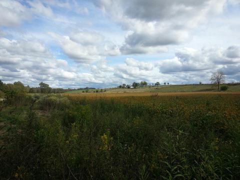 357 Silas Rd, Paris, KY 41031 photo 2