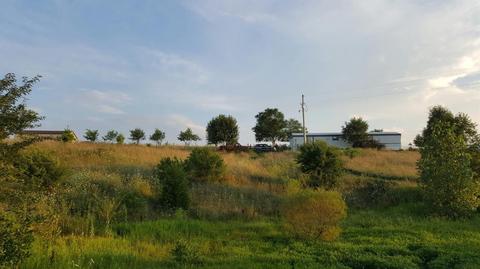 357 Silas Rd, Paris, KY 41031 photo 12