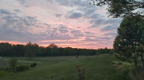 357 Silas Rd, Paris, KY 41031 photo 6