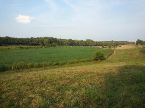 357 Silas Rd, Paris, KY 41031 photo 7