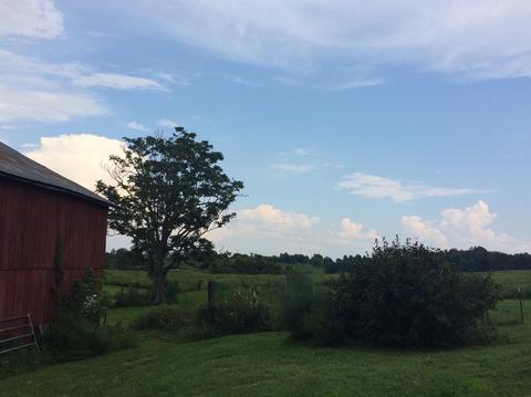 686 Buckeye Rd, Lancaster, KY 40444 photo 7