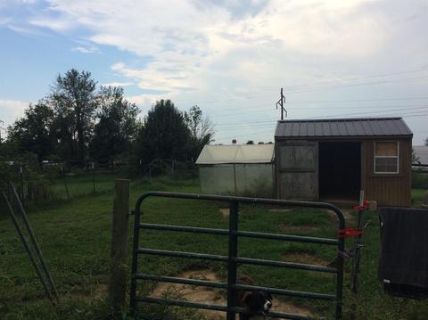 686 Buckeye Rd, Lancaster, KY 40444 photo 22